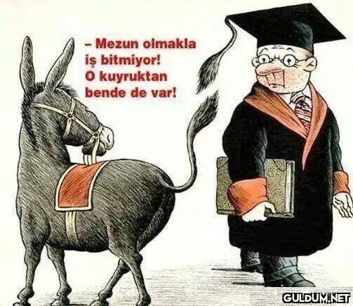 " Anlamlı...
