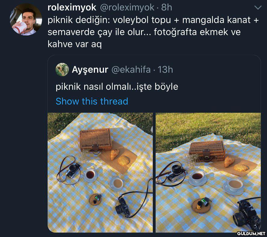 " ben bunları pikniğe...