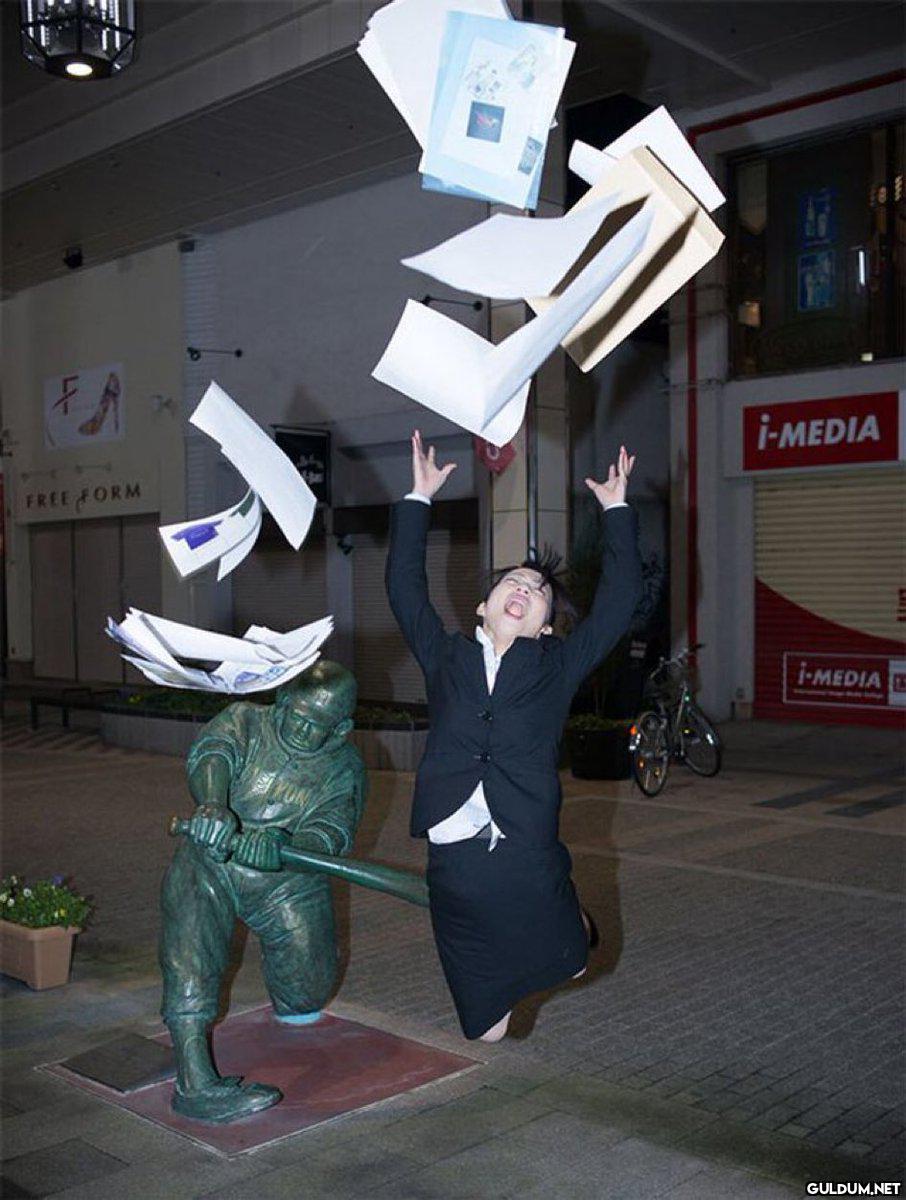 " i-MEDIA FREE FORM...