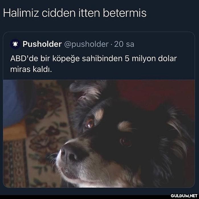 " Ajsjsjssıdjsjsj  Halimiz...