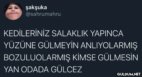 " şakşuka @sahrumahru...