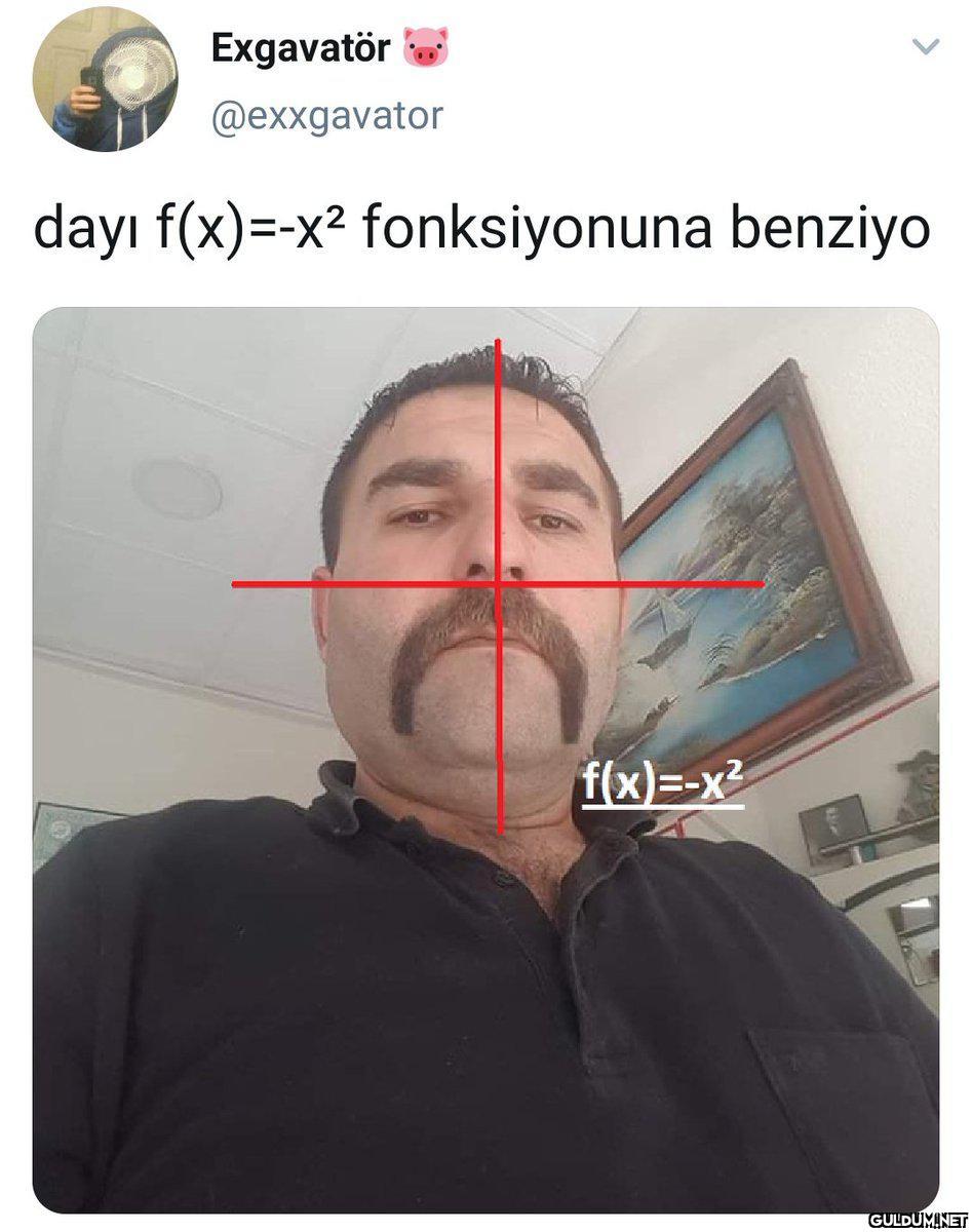 Exgavatör @exxgavator dayı...