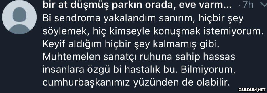 bir at düşmüş parkın...