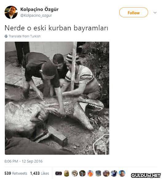 Kolpaçino Özgür...