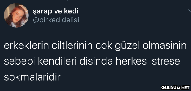 şarap ve kedi...