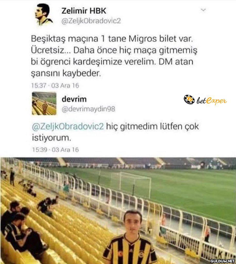 Zelimir HBK...