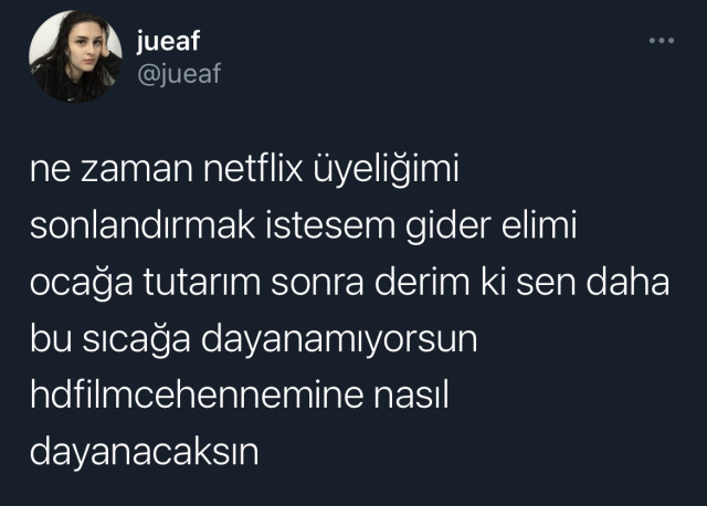 ne zaman netflix üyeliğimi...