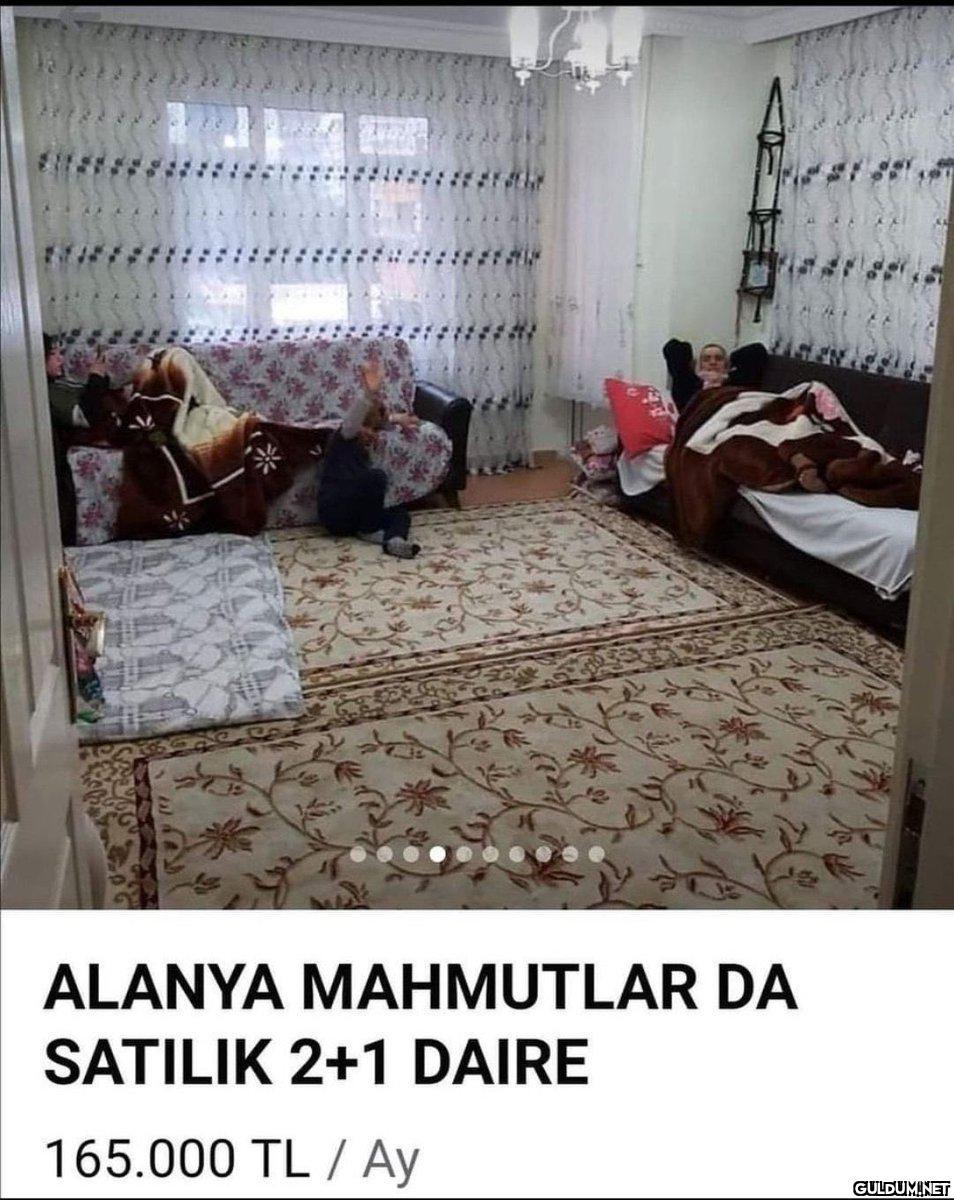 Mahmutlar kalsın abi   ...