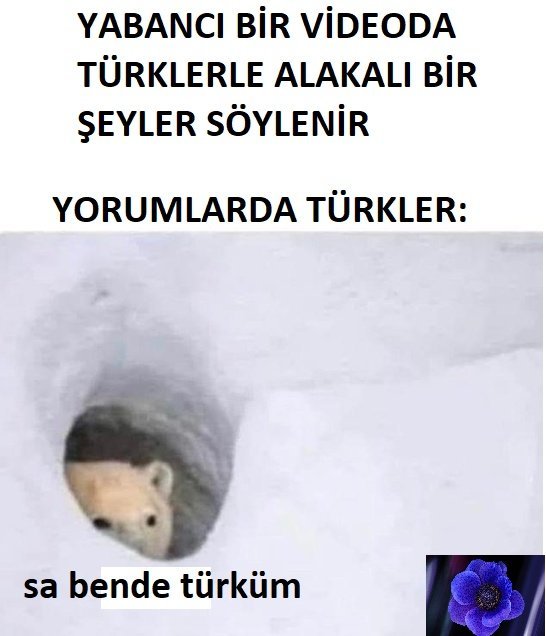 YABANCI BİR VİDEODA...