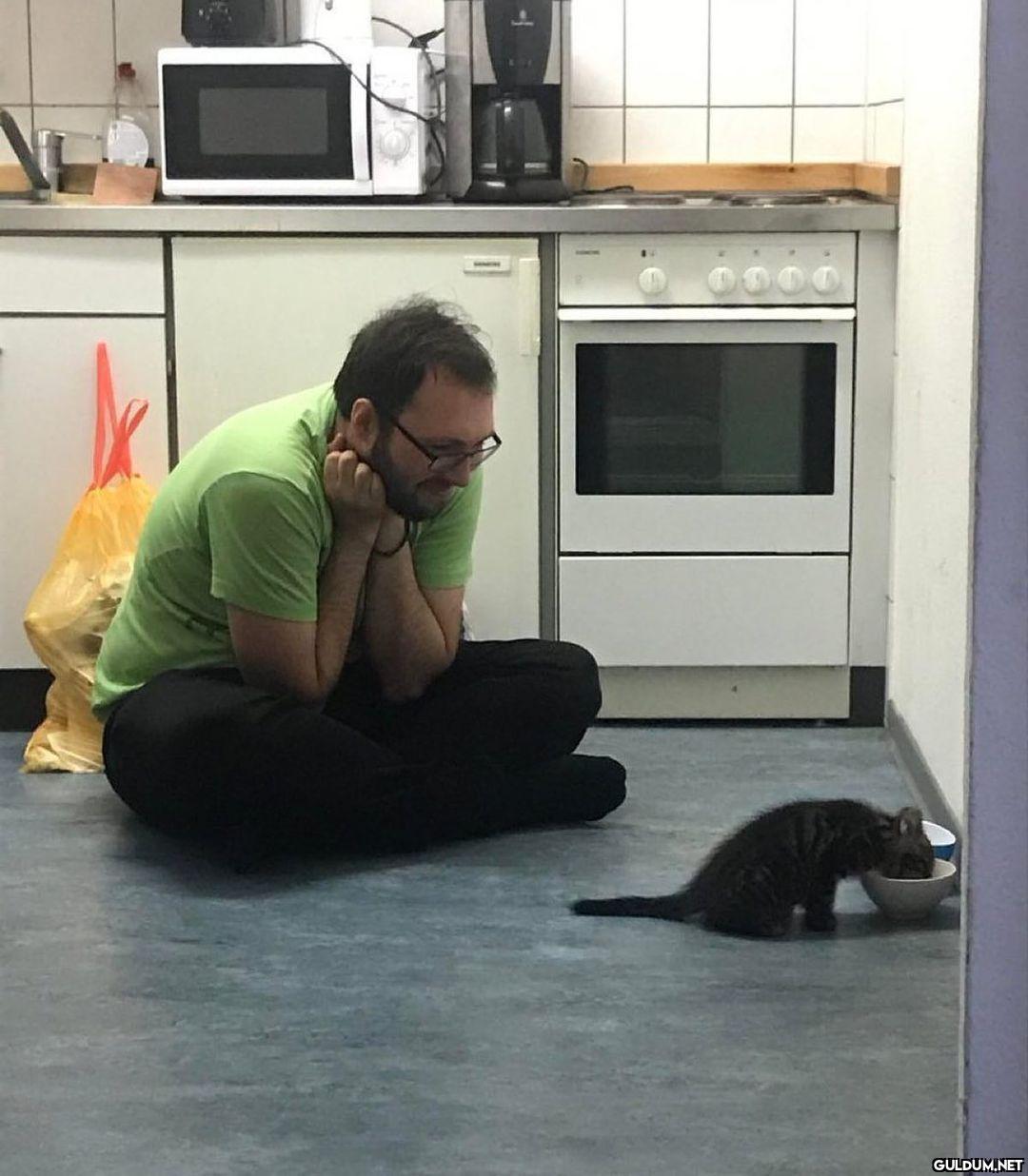 evcil hayvanı olan...