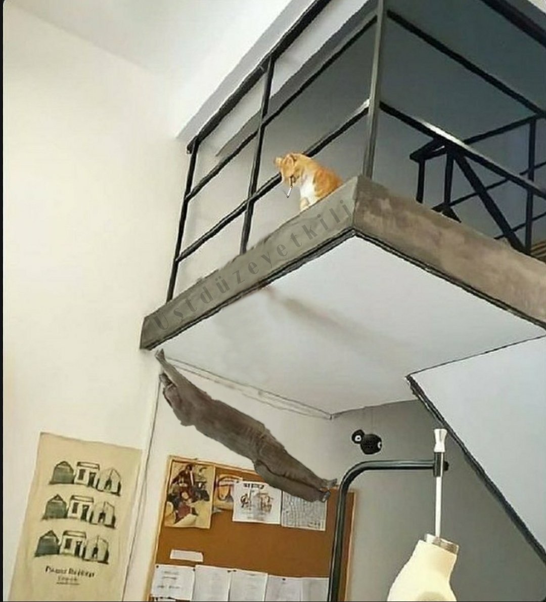 Hayatın anlamsızlığına...