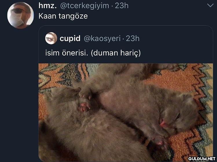 hmz. @tcerkegiyim · 23h...