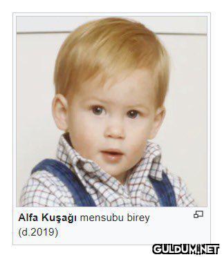 Alfa Kuşağı mensubu birey...