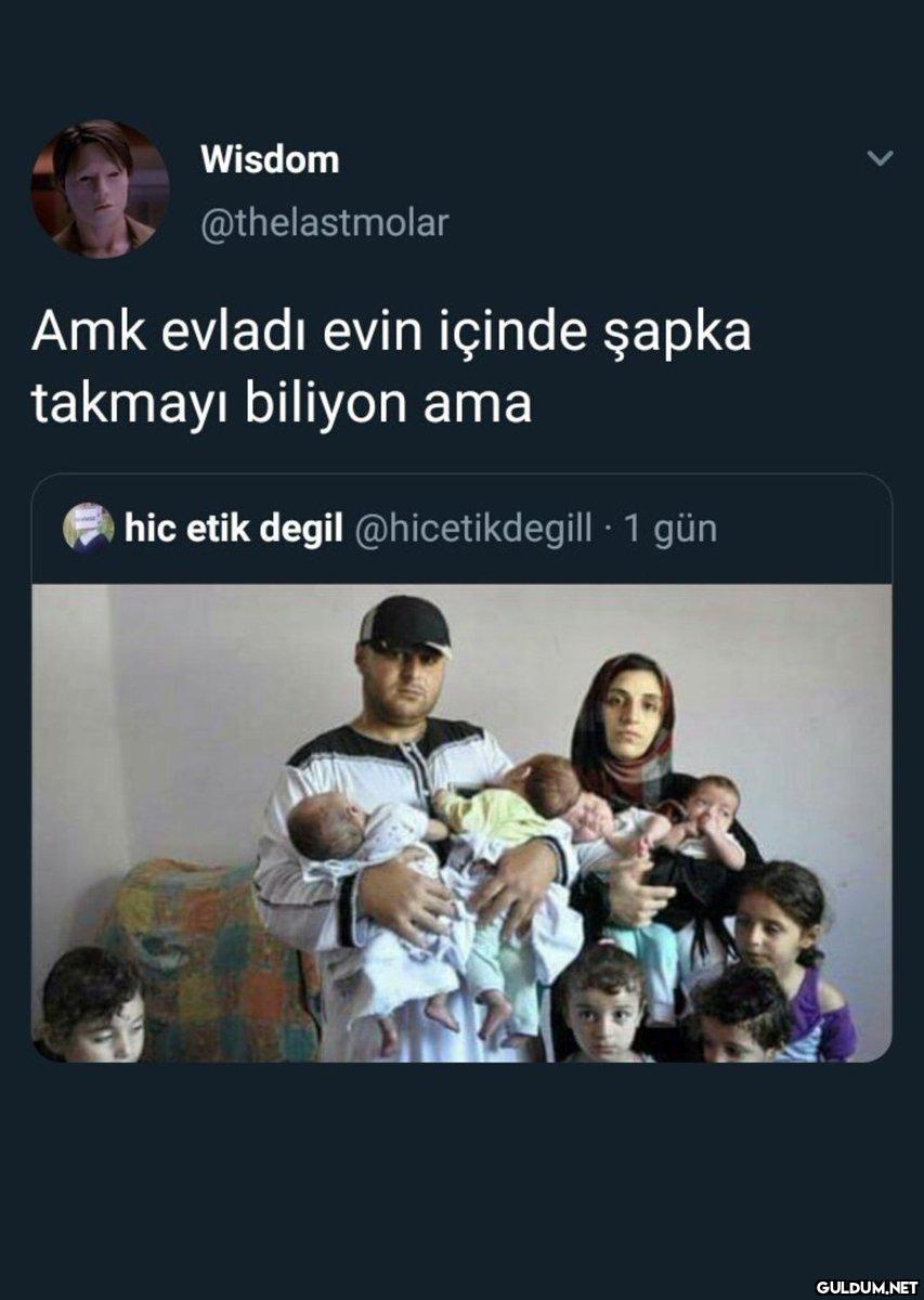 Wisdom @thelastmolar Amk...