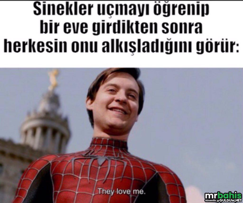 Sinekler uçmayı öğrenip...