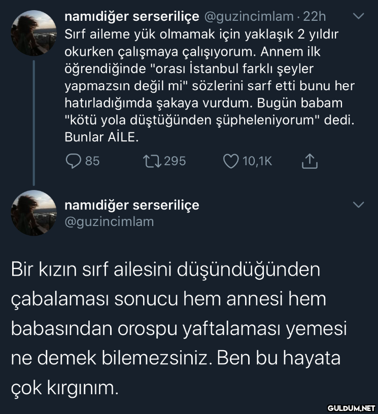 namıdiğer serseriliçe...