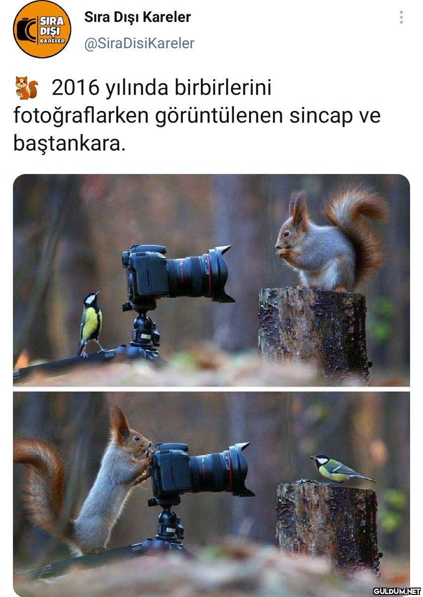 Popular post