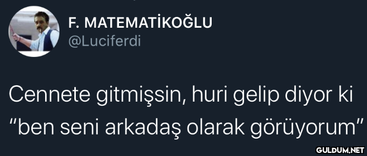 F. MATEMATİKOĞLU...