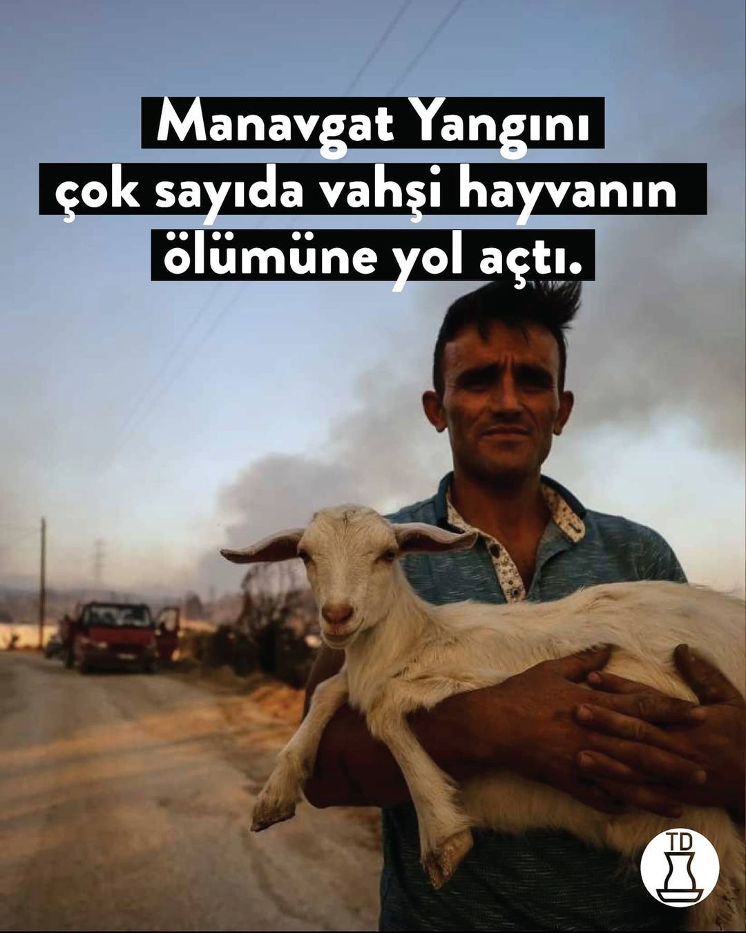 Bu yangınlar neden...