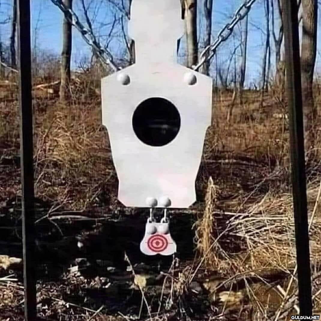anlamsız fotoğraflar 72921  Kaynak