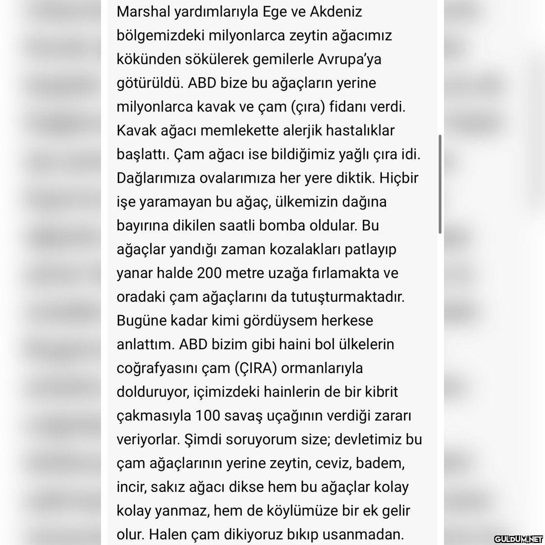 Okumadan geçmeyelim...