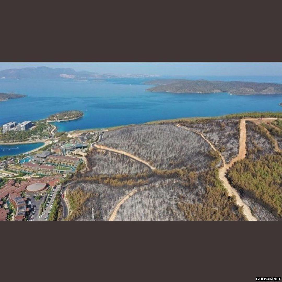 Komutan Logar...