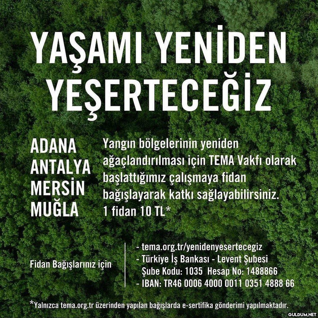 Bilgilendirme  YAŞAMI...