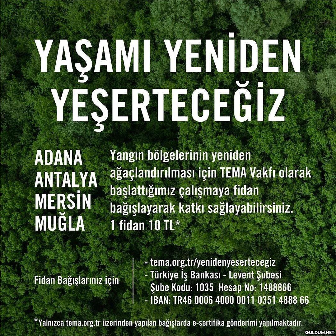 Hep Birlikte Yaşamı da...