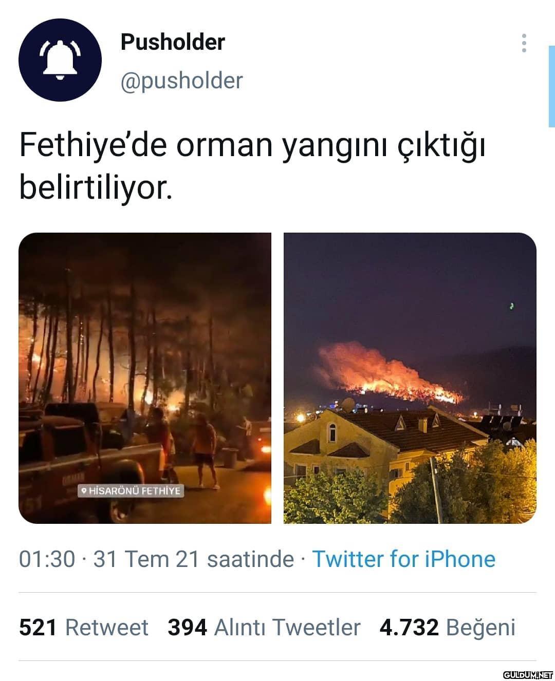 Pusholder @pusholder...