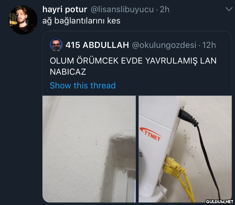 hayri potur...