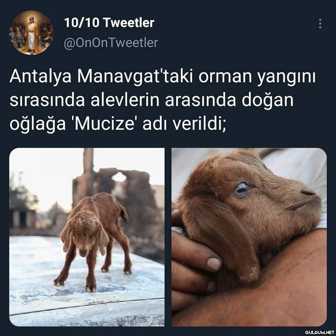 10/10 Tweetler...