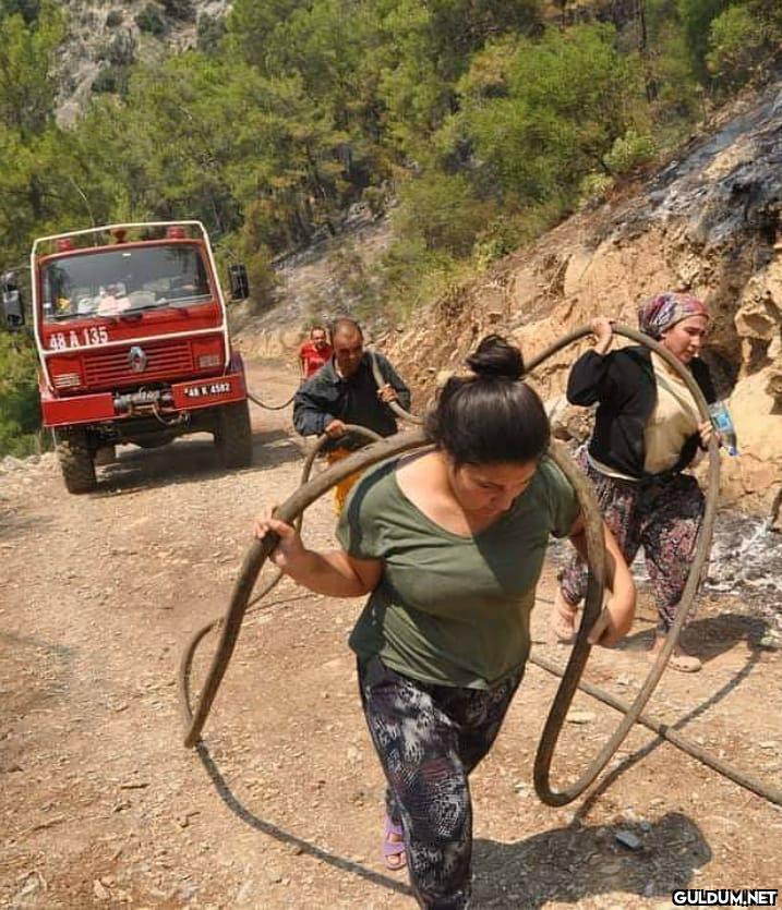 EDIVE BEL Datça Belediyesi...