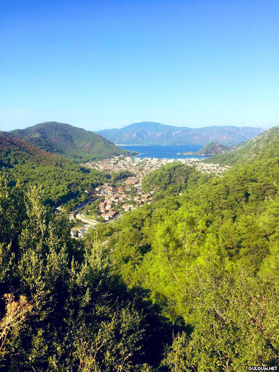 olum lan    Kaynak