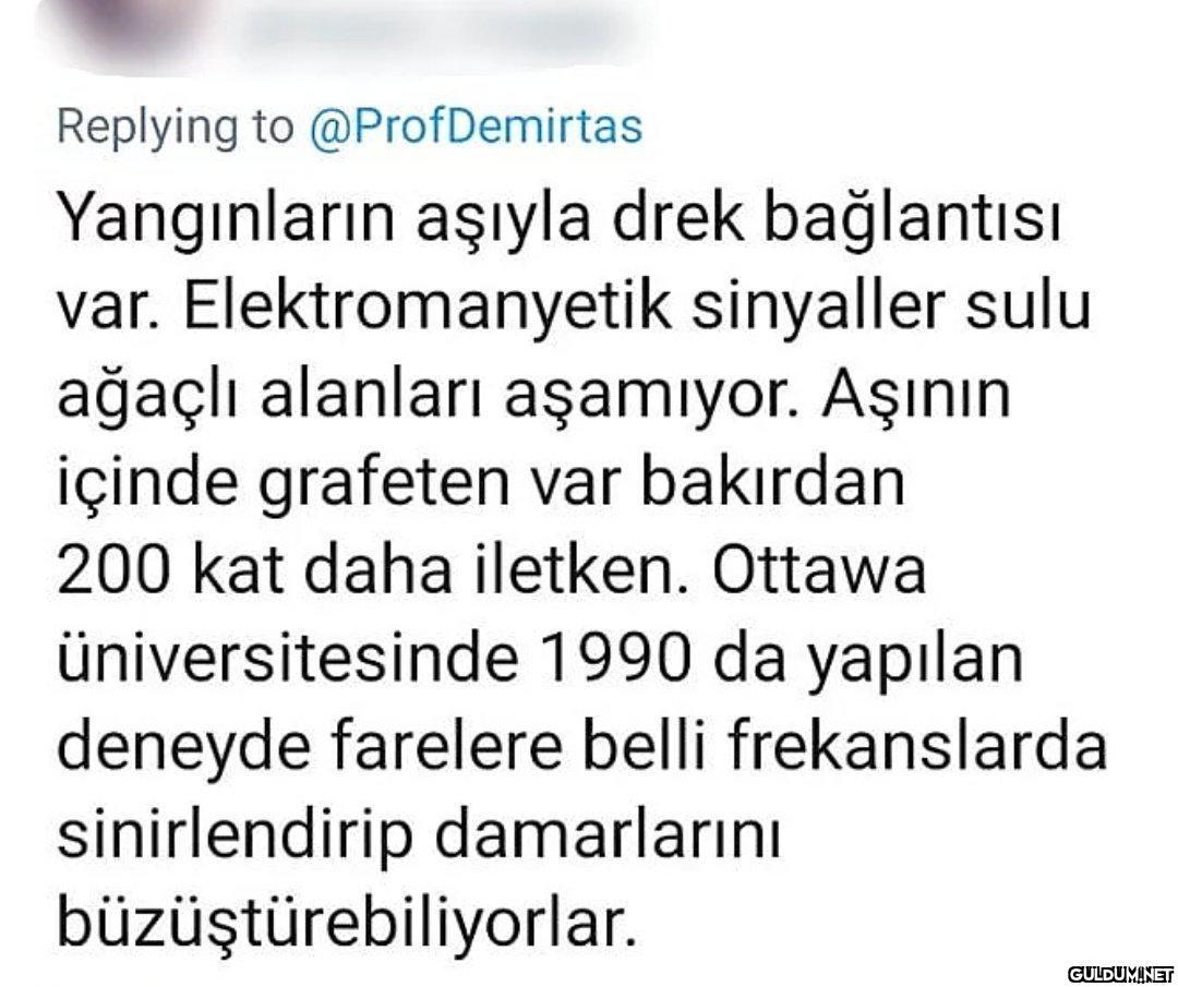 Replying to @ProfDemirtas...
