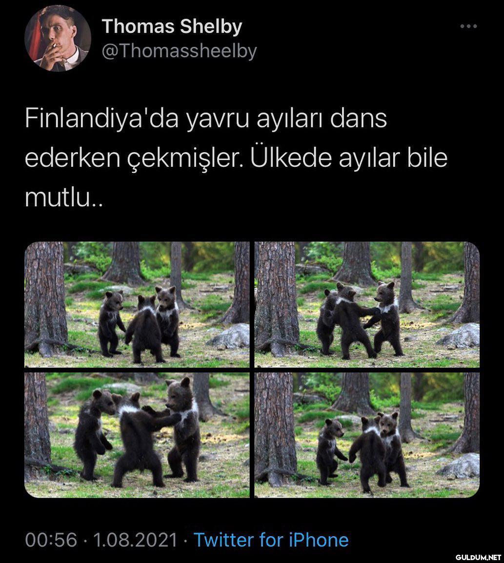 Thomas Shelby...