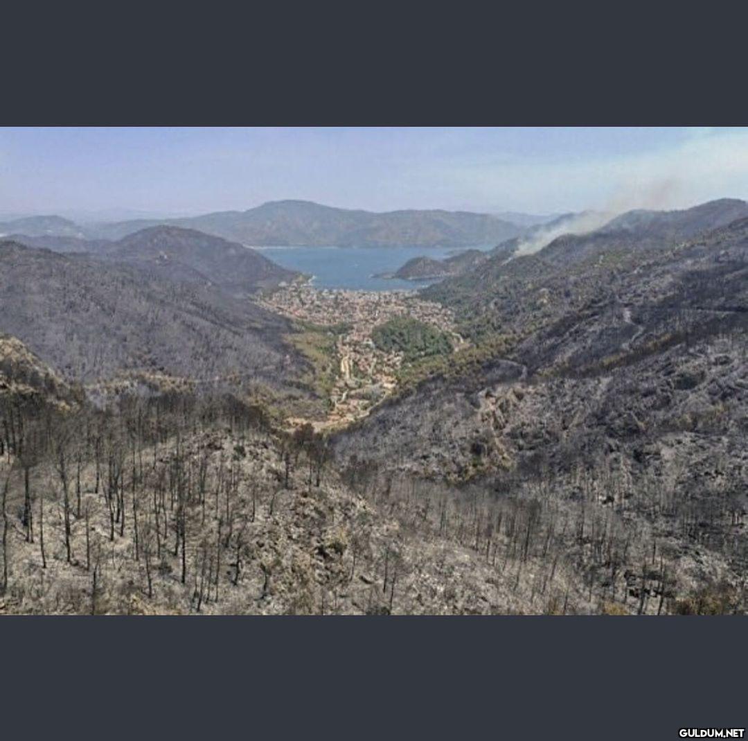 Tarihi Merak Ediyoruz...