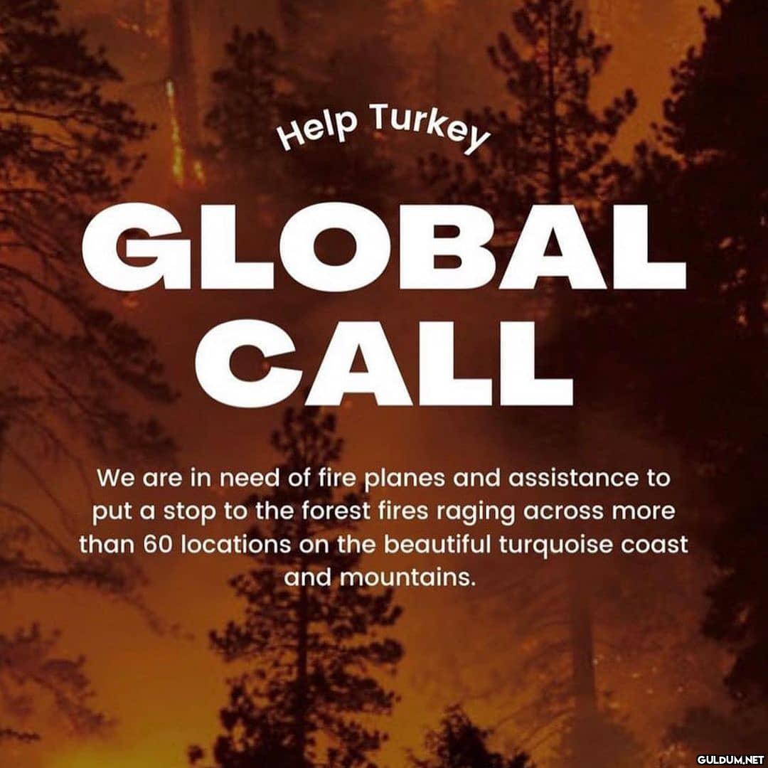 🚨I am calling all the...