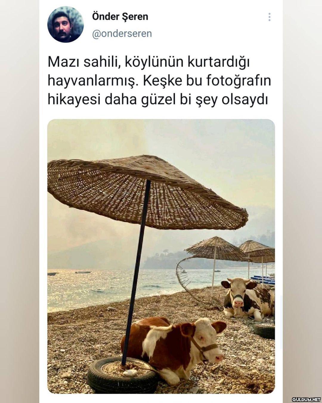 Önder Şeren @onderseren...