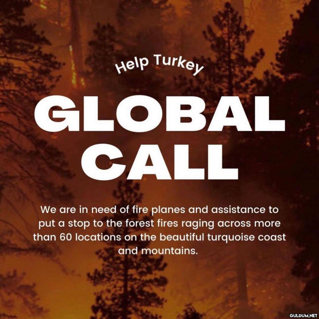 🚨I am calling all the...