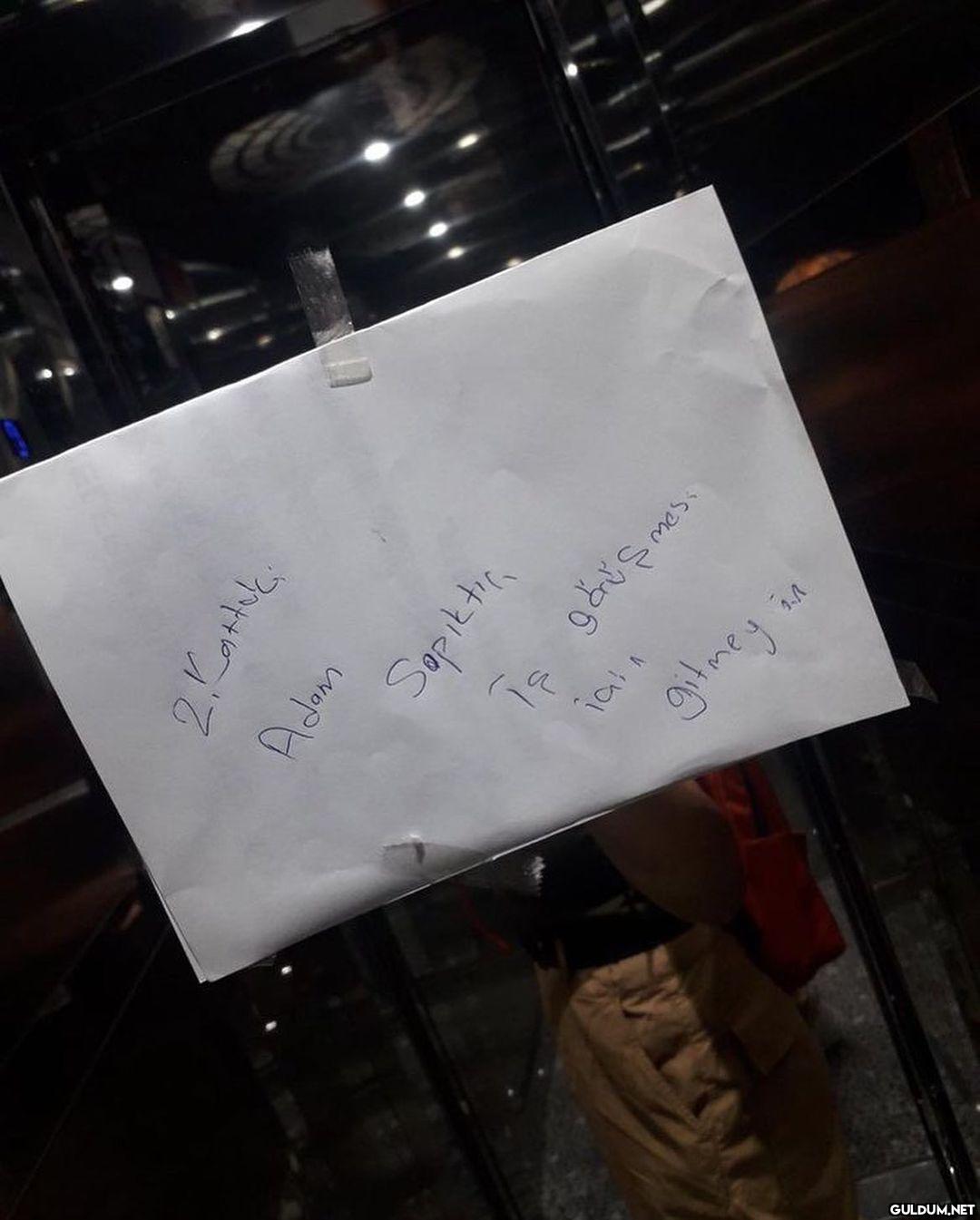 Sıla Yılmaz @Slaylmz0...
