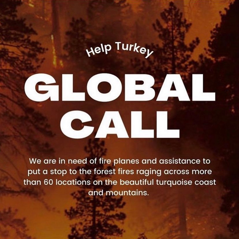 🚨I am calling all the...