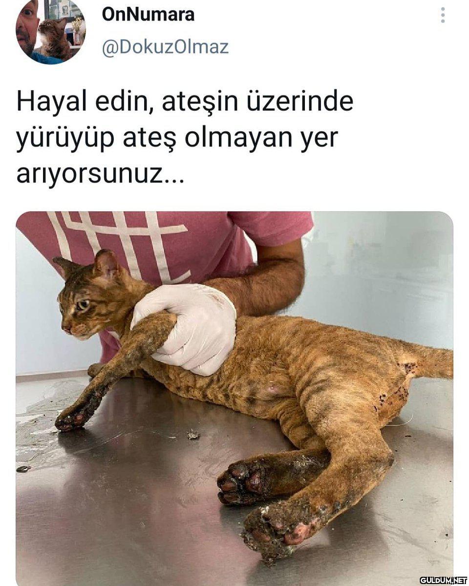 OnNumara @DokuzOlmaz Hayal...