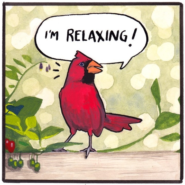 Mindfulness kavramına...