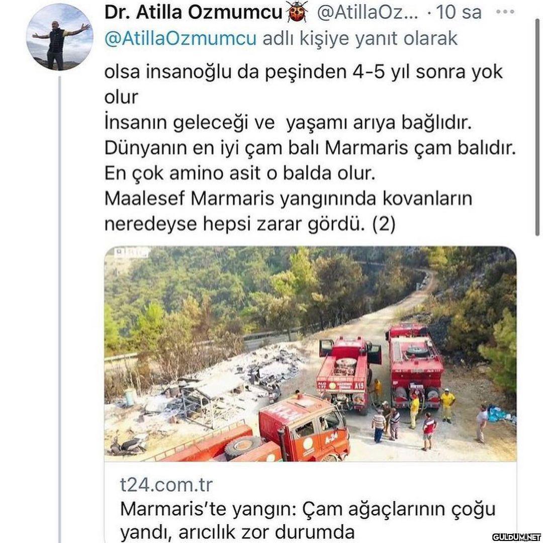 Einstein : Arı olmazsa,...