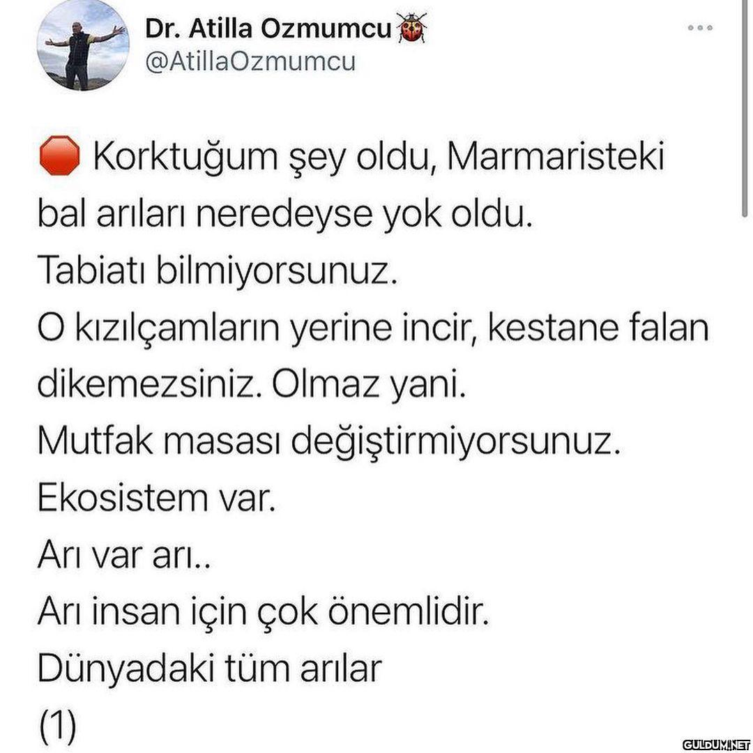 Einstein : Arı olmazsa,...
