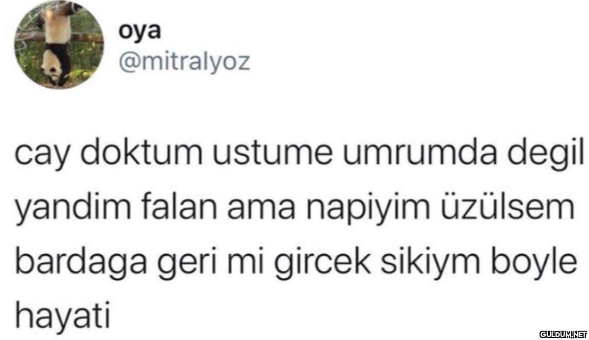 oya @mitralyoz cay doktum...