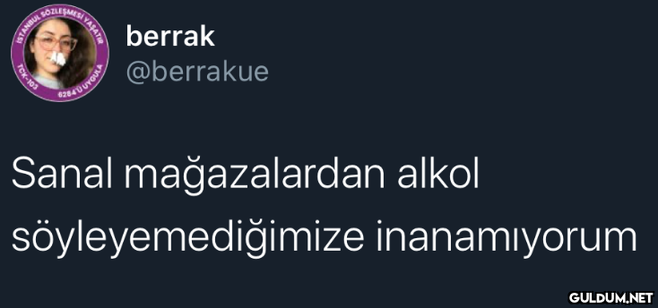 berrak @berrakue Sanal...