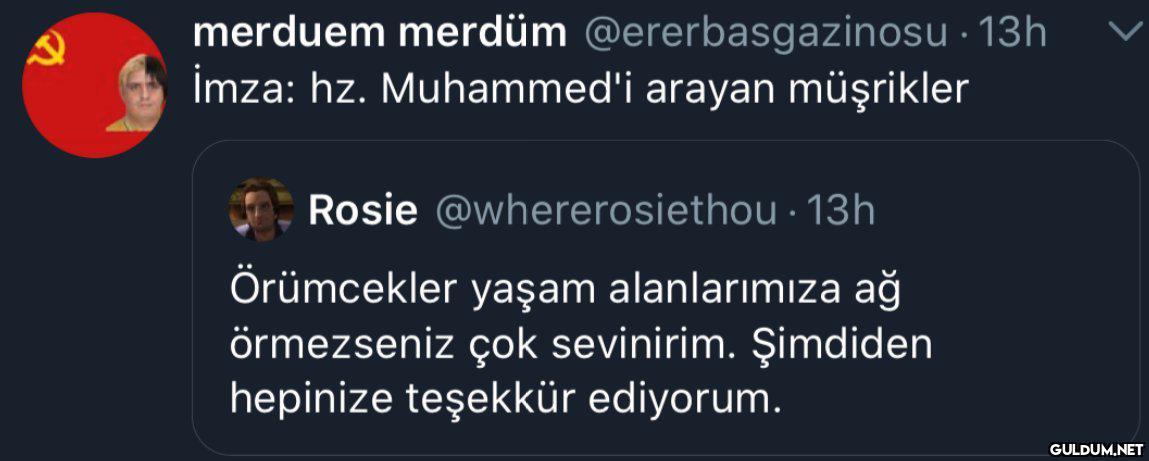 merduem merdüm...