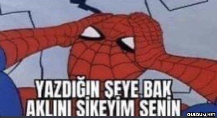 @hicetikdegill...