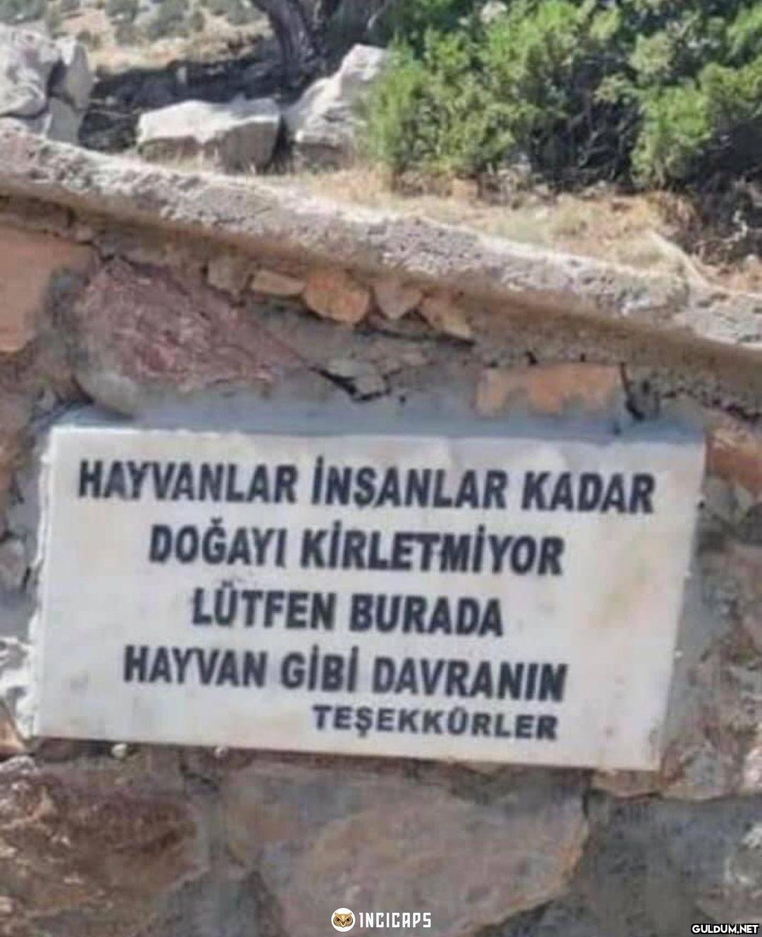 Sözün güzelliği… ...